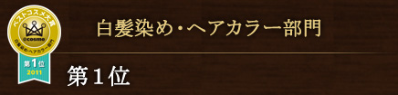 白髪染め・ヘアカラー部門