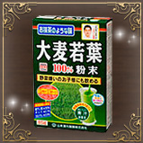 山本漢方製薬/大麦若葉粉末100%