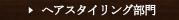 �w�A�X�^�C�����O����