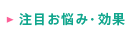 ���ڂ��Y�݁E����