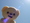 Jenmaさん Jenmaさん