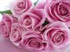 ��LOVE������