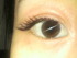 �A�C���b�V�� 911 PremiumEdition ������eyes - 2012-03-08 15:18:05