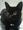 黒猫CHIPさん 黒猫CHIPさん