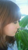 yukanuba����