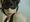 �Ƃ����肠�񂳂�