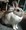 Rain����abbit����