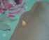 2011-05-19 12:38:23 by くまぴょんぴょんさん 2011-05-19 12:38:23 by くまぴょんぴょんさん