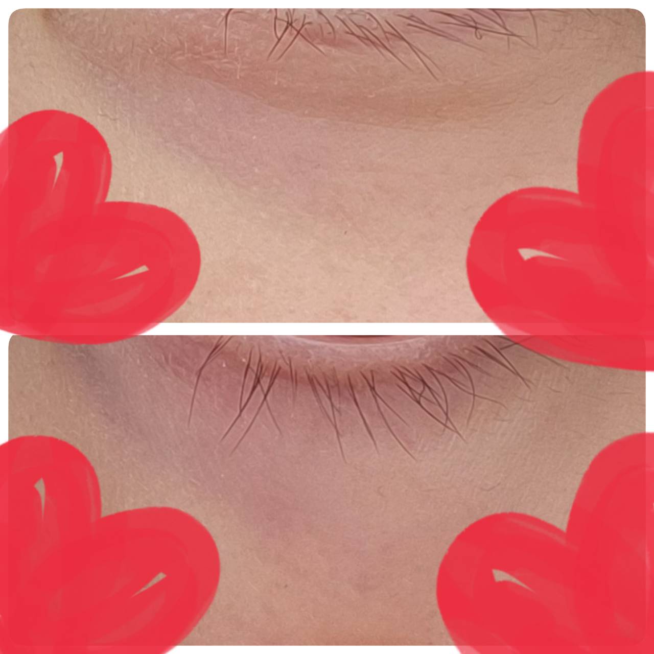 青クマでしょうか?by 匿名さんの画像