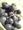 sensual-jessicaさん sensual-jessicaさん