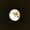 QP��chan����