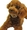��himekuma������