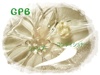 GPB by ぴぁ♪+:。さん GPB by ぴぁ♪+:。さん
