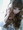 �E�B�F*Haruna*�F�B�E����