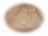 ��*�R�X���ˑ��I�H by ooooooo853225����