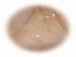 ��*�R�X���ˑ��I�H by ooooooo853225����