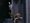 �iyou.�j����