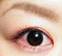 *�V�A�[�R���g���X�g�A�C�X�J01* by �������񂳂�