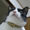 Petit�@Chat����