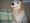 �䂩�O�R�P�W����