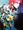miyavi119����