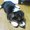 ポチ1212さん ポチ1212さん