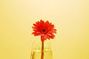 2010-08-29 17:45:56