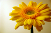 2010-08-29 17:46:44