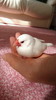 ぱるちさん