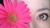 *:.dolly.:*����