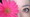 *:.dolly.:*さん *:.dolly.:*さん