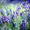 greenstorm����