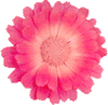 barbie2007����