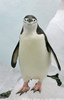 clyde.さん