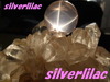 silverlilac����