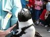 おくらっこさん