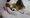 DNS����