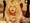 �G�i�]�E����