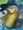 �M���䁛����񂪍s������