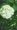 moodmosaic����