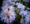 �G�p����
