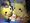 pika32marieさん pika32marieさん