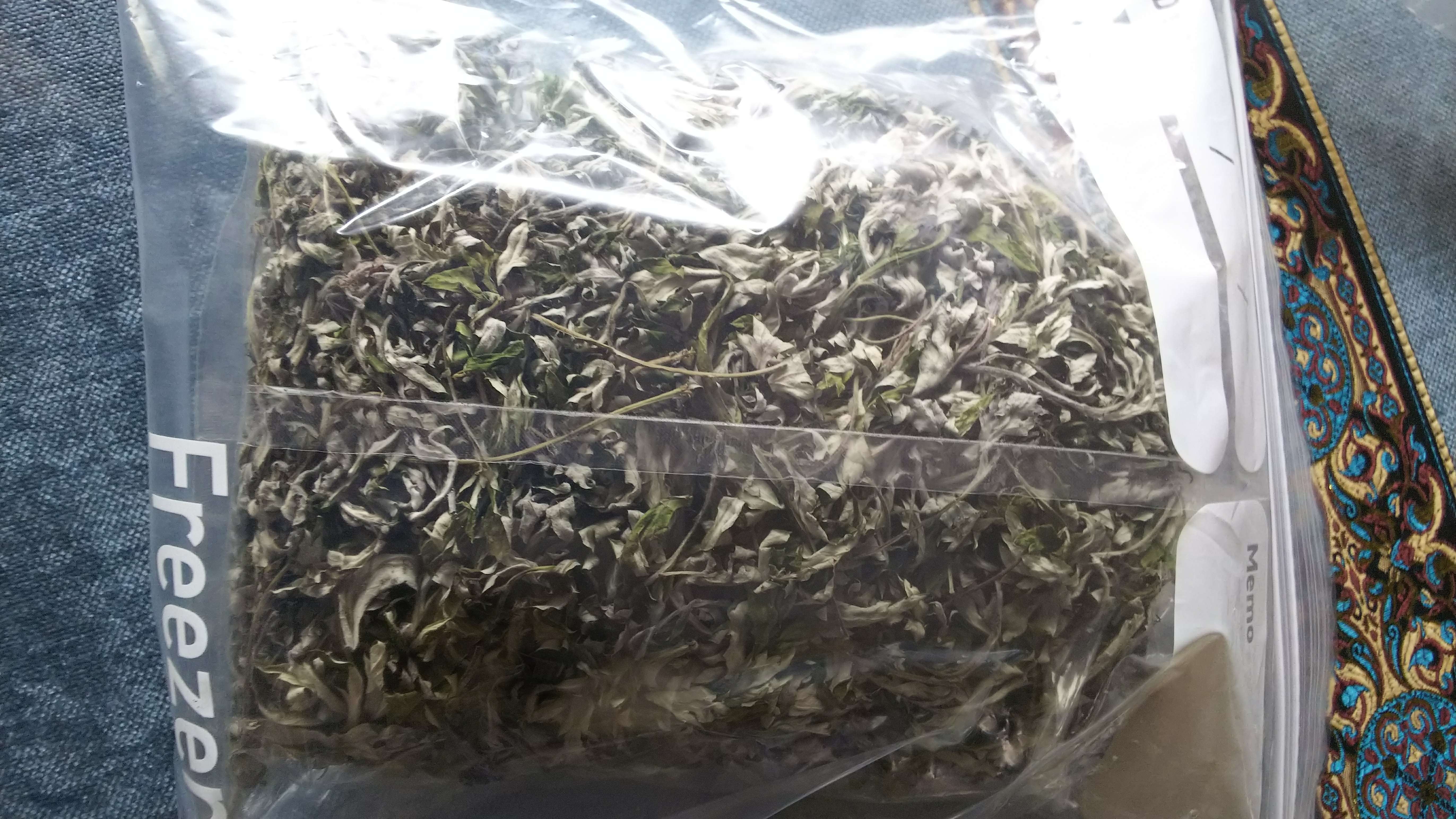 ヨモギ茶by じゅん0212さんの画像