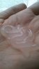 2011-05-03 16:55:59 by SAK!さん 2011-05-03 16:55:59 by SAK!さん