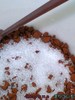 �܂肱��������