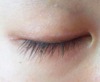 2011-11-27 12:54:30 by ひーちゃん(≧ε≦)♪さん
