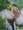 bloomco����