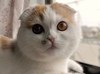 �炤�݂�����