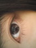 2011-04-05 12:10:24 by ちぃ(ω`)さん 2011-04-05 12:10:24 by ちぃ(ω`)さん