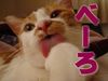 �؁[���񂳂�